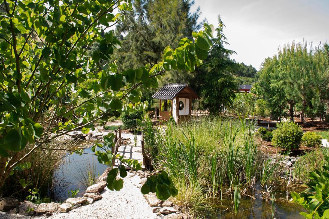 Quinta Japonesa Bed and Breakfast Carvalhal Bemfeito Εξωτερικό φωτογραφία