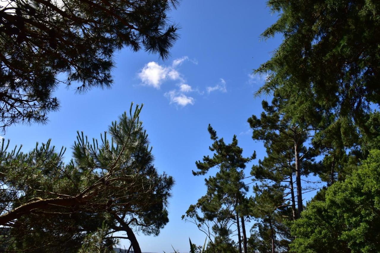 Quinta Japonesa Bed and Breakfast Carvalhal Bemfeito Εξωτερικό φωτογραφία