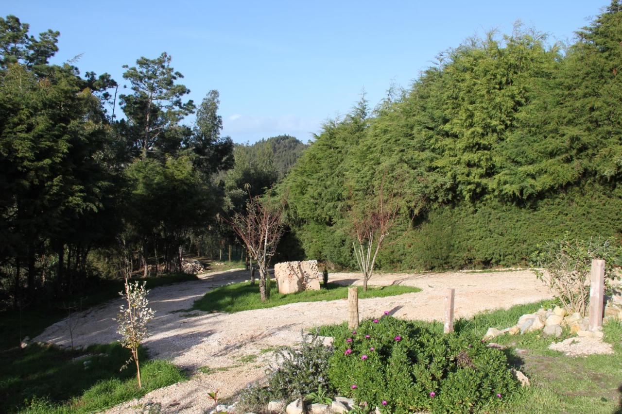 Quinta Japonesa Bed and Breakfast Carvalhal Bemfeito Εξωτερικό φωτογραφία