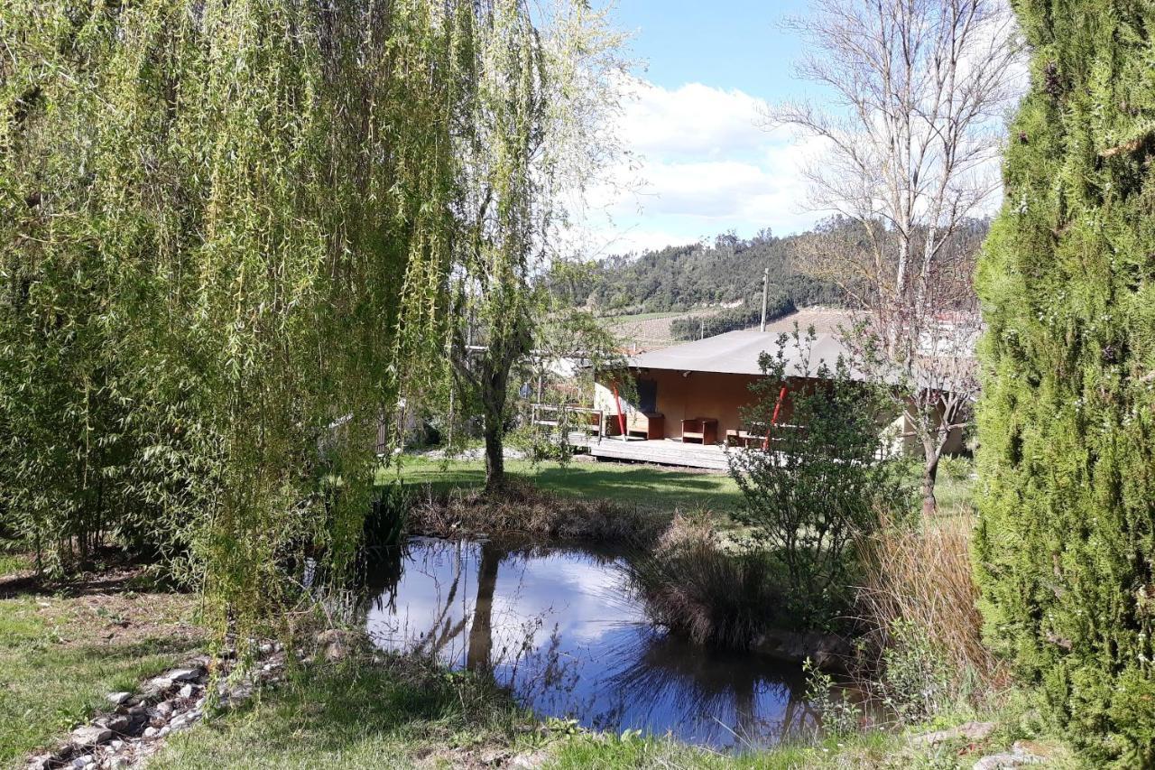 Quinta Japonesa Bed and Breakfast Carvalhal Bemfeito Εξωτερικό φωτογραφία