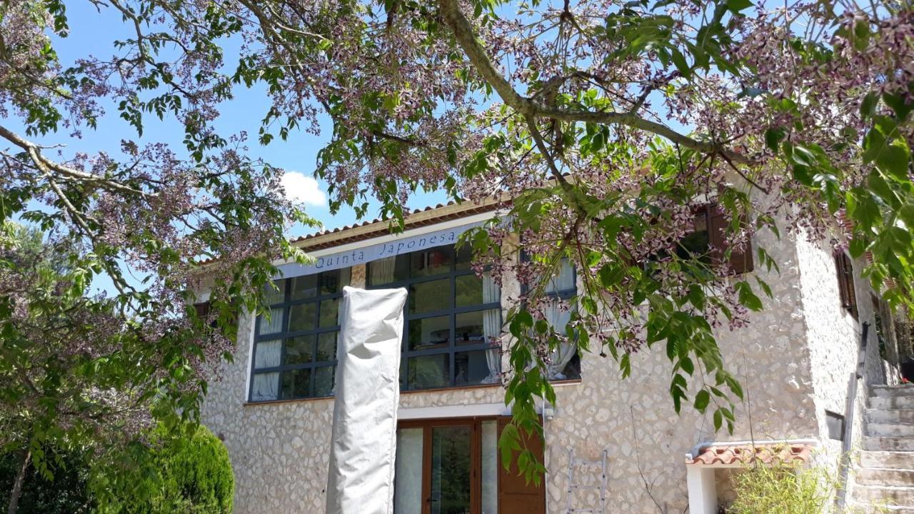Quinta Japonesa Bed and Breakfast Carvalhal Bemfeito Εξωτερικό φωτογραφία