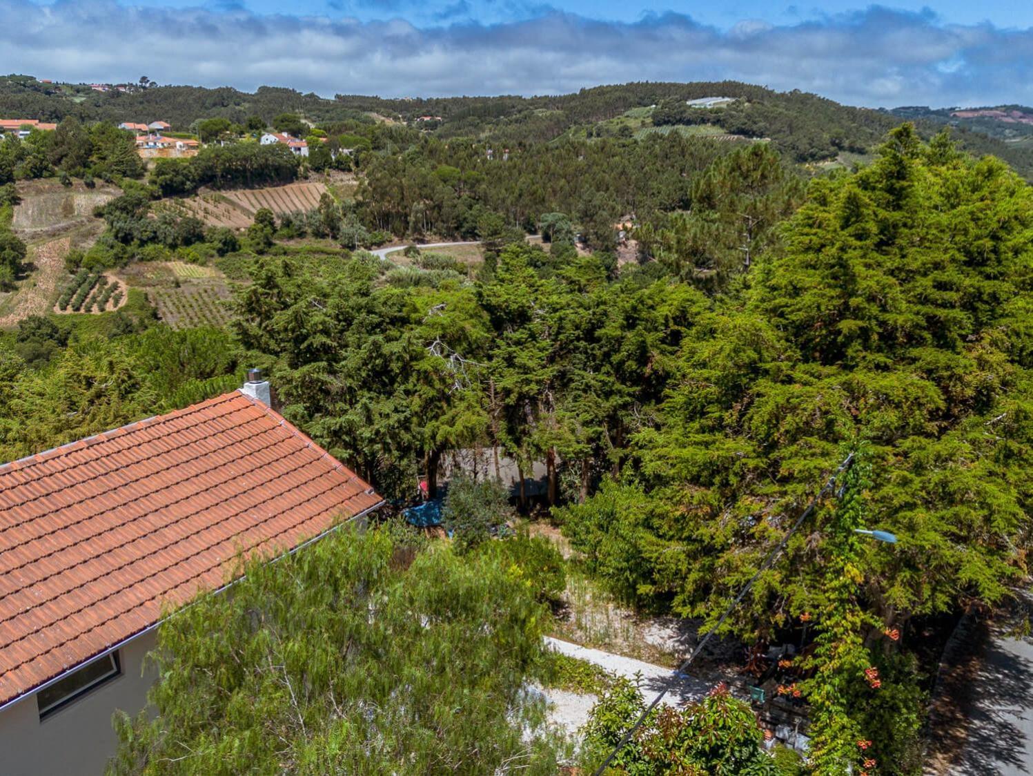 Quinta Japonesa Bed and Breakfast Carvalhal Bemfeito Εξωτερικό φωτογραφία