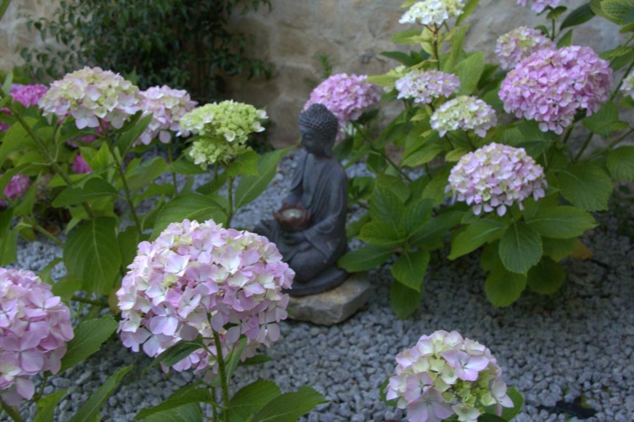 Quinta Japonesa Bed and Breakfast Carvalhal Bemfeito Εξωτερικό φωτογραφία